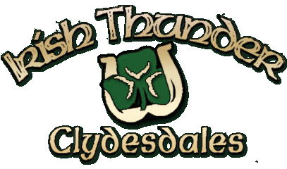 Irish Thunder Clydesdales